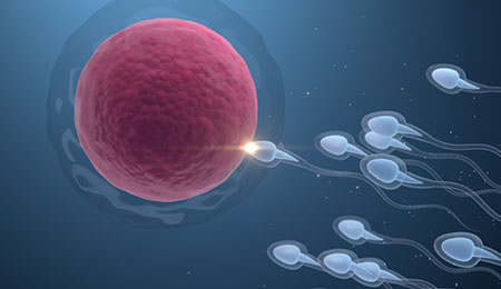 How Long Should Abstinence Be for Quality Sperms?