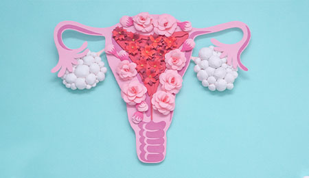 How to Know My Ovulation Day?